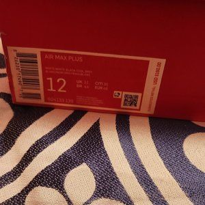 Nike Air Max Plus